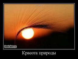 красоте красата