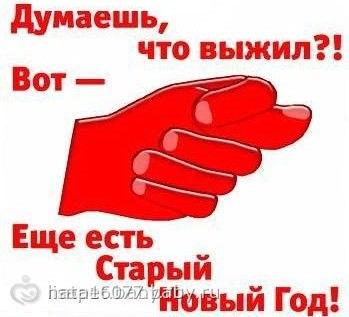 Фото топинамбур Фото топинамбур