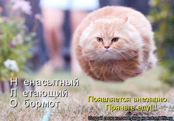 Фото ЛуЧшЕ нЕ зНаТь Фото ЛуЧшЕ нЕ зНаТь