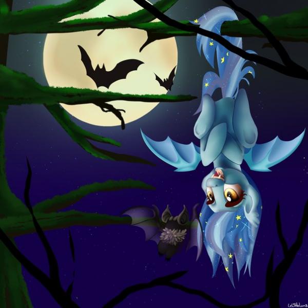 Фото Moonlight.A Фото Moonlight.A