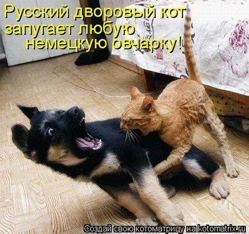 Фото Девочка-Машуся Фото Девочка-Машуся