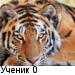 Фото KARINA18: настроение Фото KARINA18: настроение