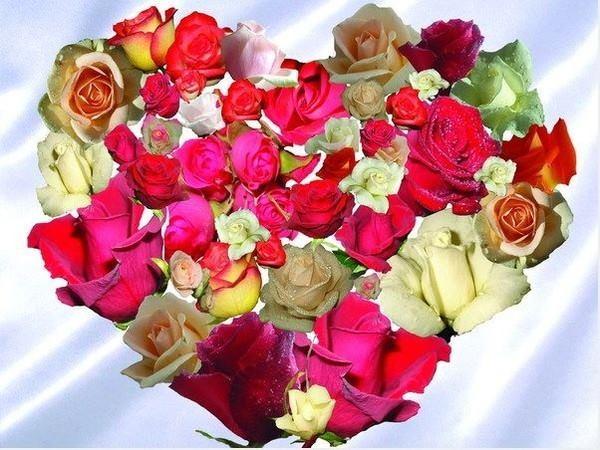 Фото Халим Аймасов