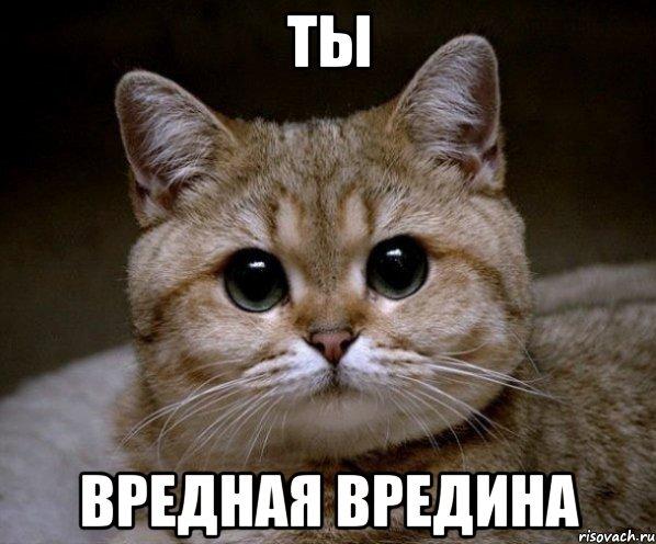 Фото Vredina :)) Фото Vredina :))