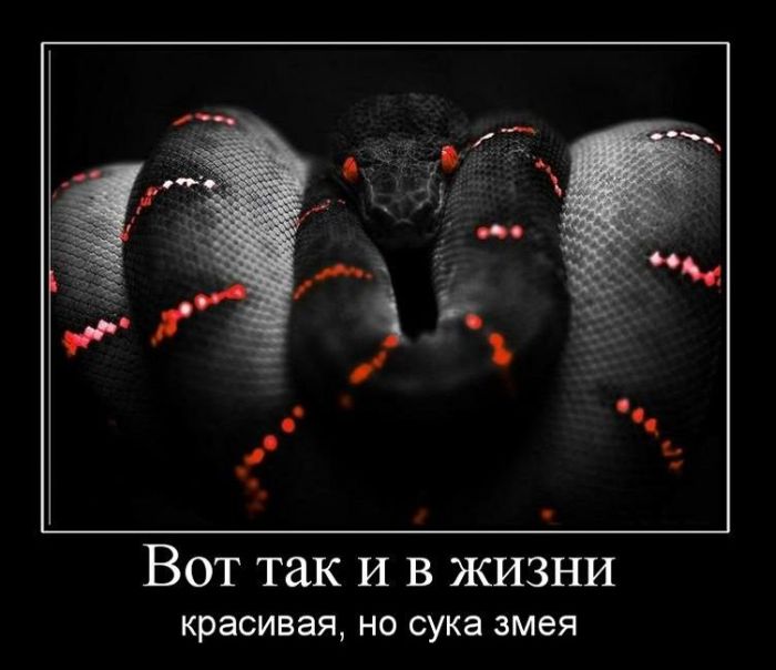 Фото вам_кажется Фото вам_кажется