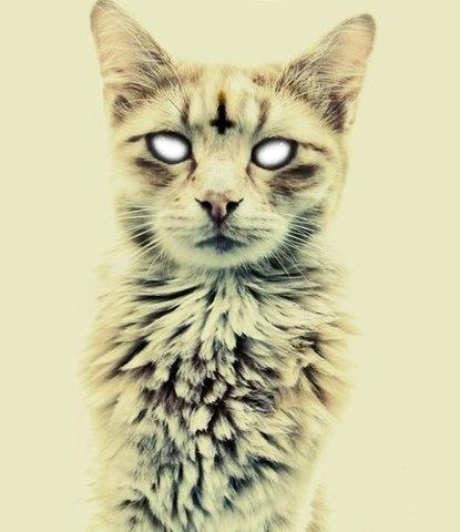 Фото Данил Штейнбах