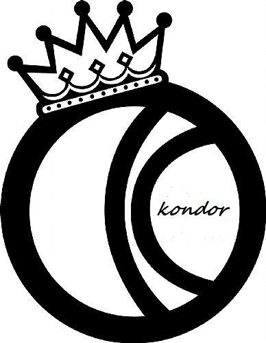 Фото kondor Фото kondor
