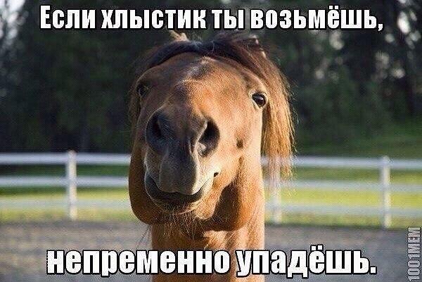 Фото Софья Хеппи