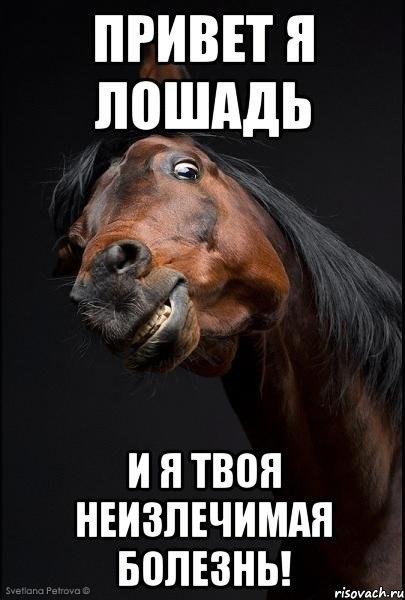 Фото Софья Хеппи