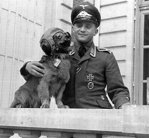 Фото PITBULLPANZER Фото PITBULLPANZER
