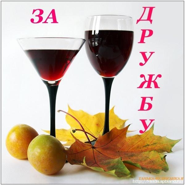 Фото Виктория Андреади