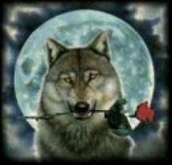 Фото Виктория Андреади