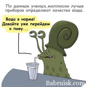 Фото Ивлена Фото Ивлена