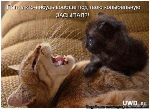 Фото Ксения Хайретдинова