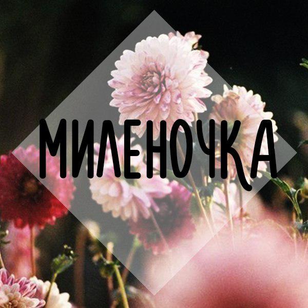 Фото Милена Запорожцева