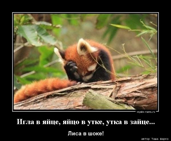 Фото Lisёnok Фото Lisёnok