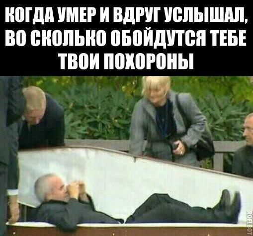 Фото трояр Фото трояр
