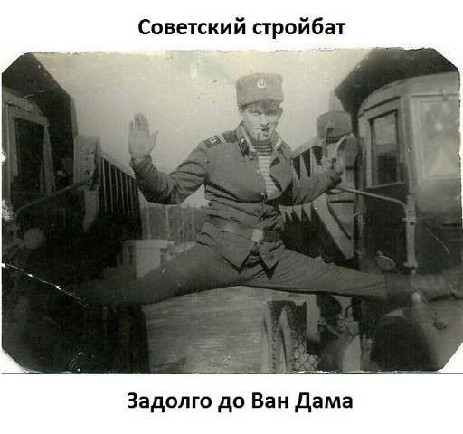 Фото трояр Фото трояр