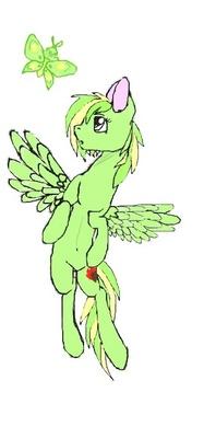 Фото Саша Тетеревкова: Моя работа на компьютере 