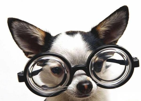 Фото Виталий Сомов