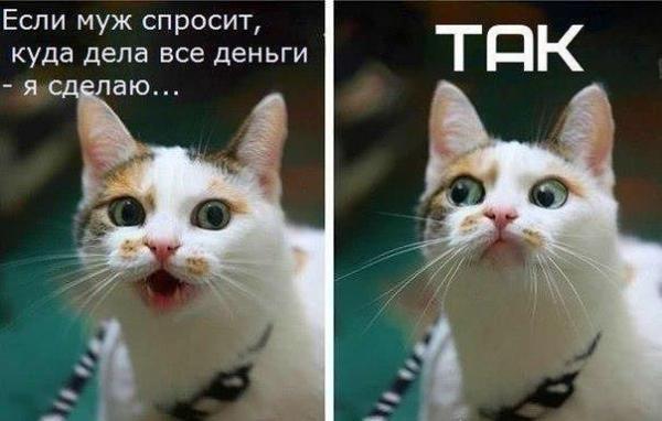 Фото СветлаяЯ Фото СветлаяЯ