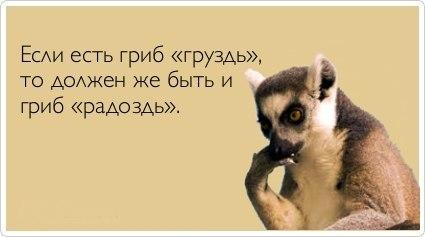 Фото *~YLЬ|БAЙСYA~* Фото *~YLЬ|БAЙСYA~*