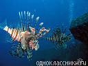Фото оля громова Фото оля громова