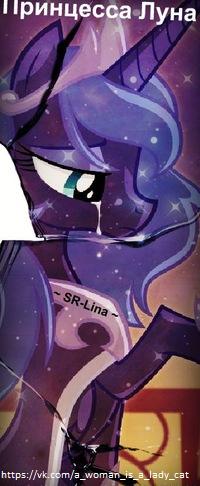 Фото Софья Котова