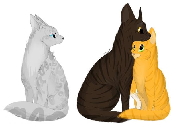 Фото fem_Ashfur Фото fem_Ashfur