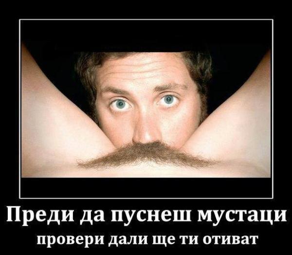 Фото куката Фото куката