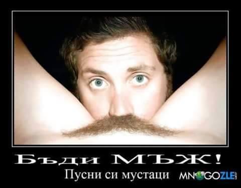 Фото куката Фото куката