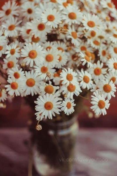 Фото Иринушк@ Фото Иринушк@