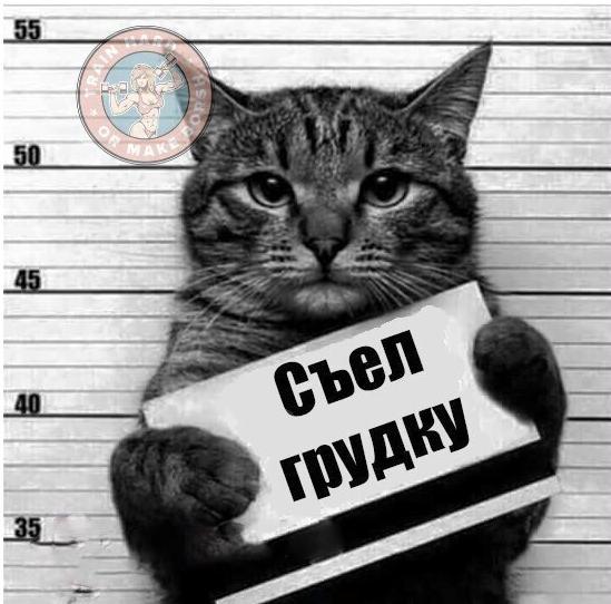 Фото Vov4ik5 Фото Vov4ik5