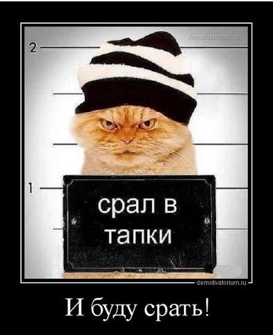 Фото Vov4ik5 Фото Vov4ik5