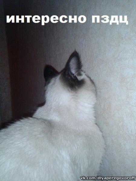 Фото Максим Горелик