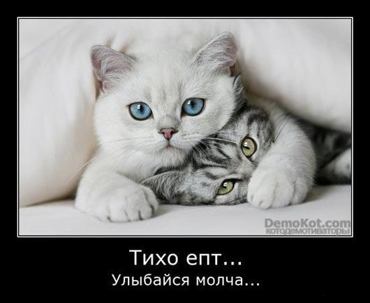 Фото ღஐღ◕␣◕ Fiona the HUMAN◕␣◕ღஐღ Фото ღஐღ◕␣◕ Fiona the HUMAN◕␣◕ღஐღ
