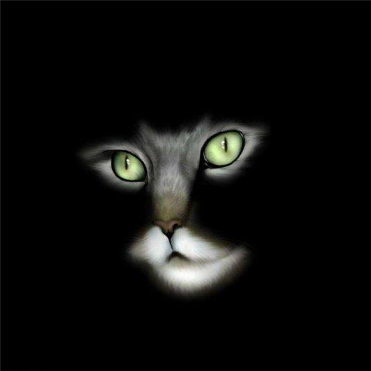 Фото •♥∻♥Ꮬ ЧеᎮтоჶкᗩ Ꮬ♥∻♥• Фото •♥∻♥Ꮬ ЧеᎮтоჶкᗩ Ꮬ♥∻♥•