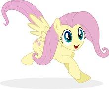 Фото Никита Лазаренко