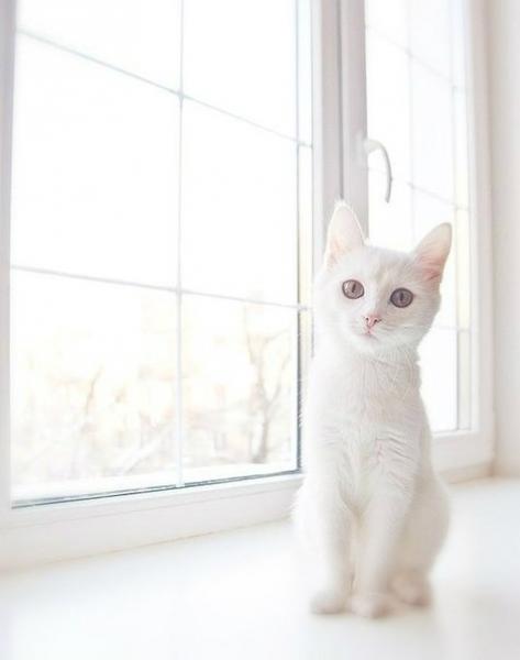 Фото Юлия Помазанова Фото Юлия Помазанова