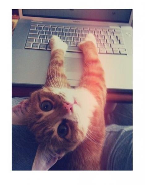 Фото Сочи, Андрей