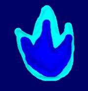 Фото Арина Моржакова