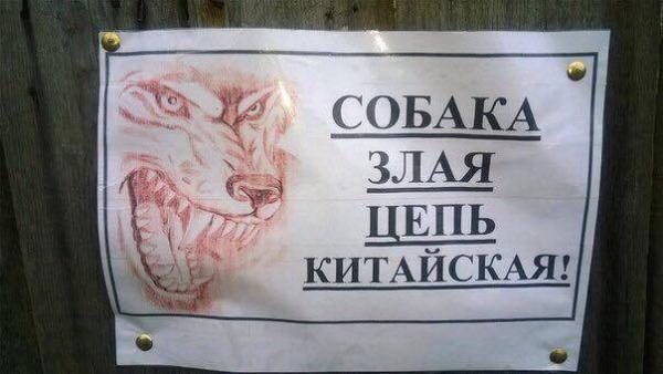 Фото СУНЬ СУНГ Фото СУНЬ СУНГ