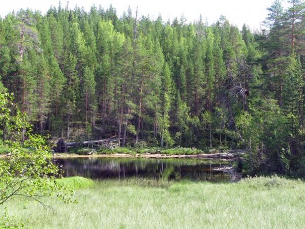 Фото Марина Пушкарева Фото Марина Пушкарева