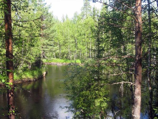 Фото Марина Пушкарева Фото Марина Пушкарева