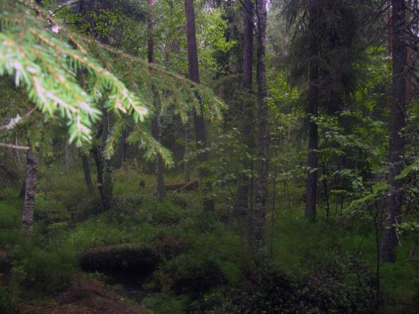 Фото Марина Пушкарева: поход))) Фото Марина Пушкарева: поход)))