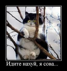 Фото Bукафка Фото Bукафка