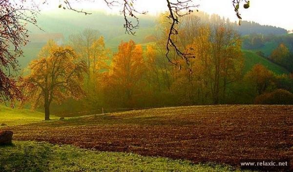 Фото Надинка Катаева Фото Надинка Катаева