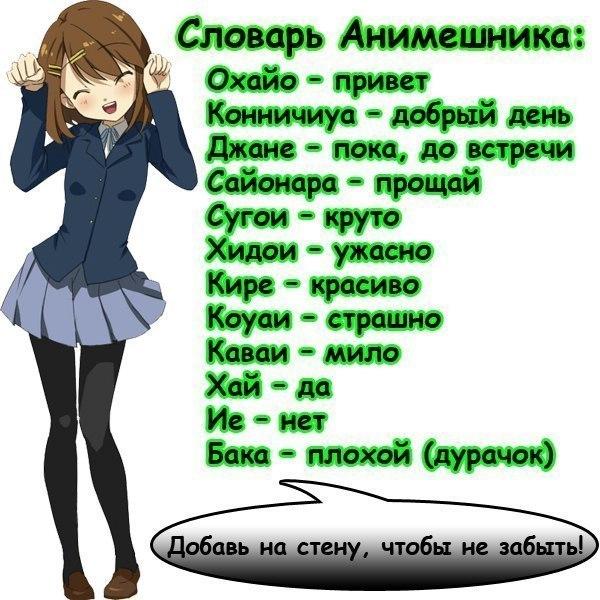 Фото Мини Хомячок Фото Мини Хомячок