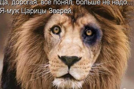 Фото *Оленька* Фото *Оленька*