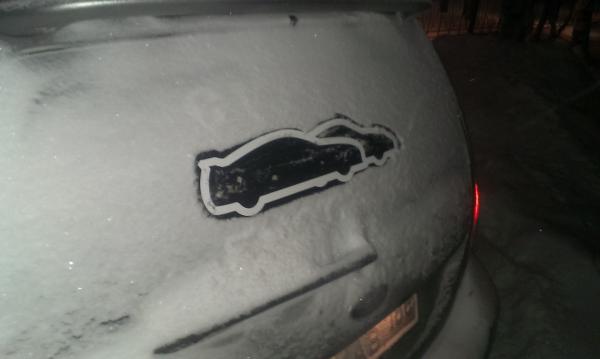 Фото Саня Шаманиди